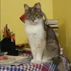 Отзыв от Фаина Малинина